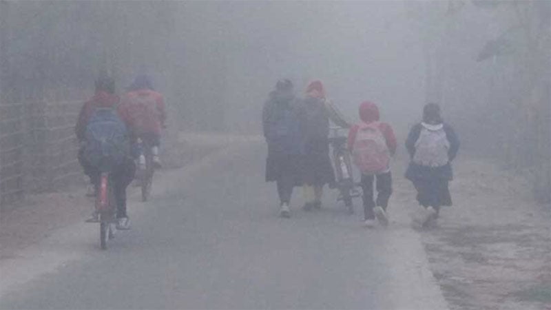 School closed in several districts due to cold wave