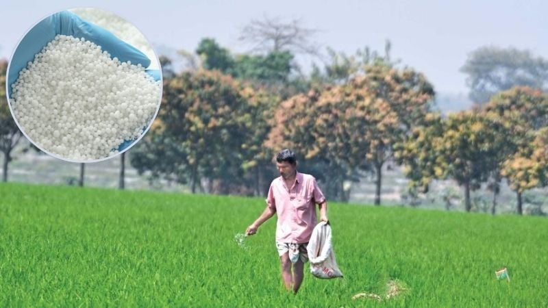 Hormuz closure puts Bangladesh at risk of fertiliser crisis: WFP