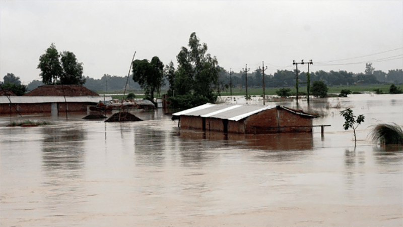 Flood fears mount in four Rangpur districts as Teesta, Dharla and Dudhkumar rivers swell