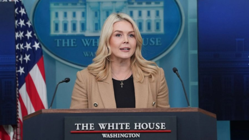 Iran halts 800 executions after Trump threat: White House