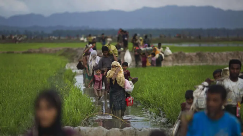 UN court to begin hearings on Rohingya genocide case today