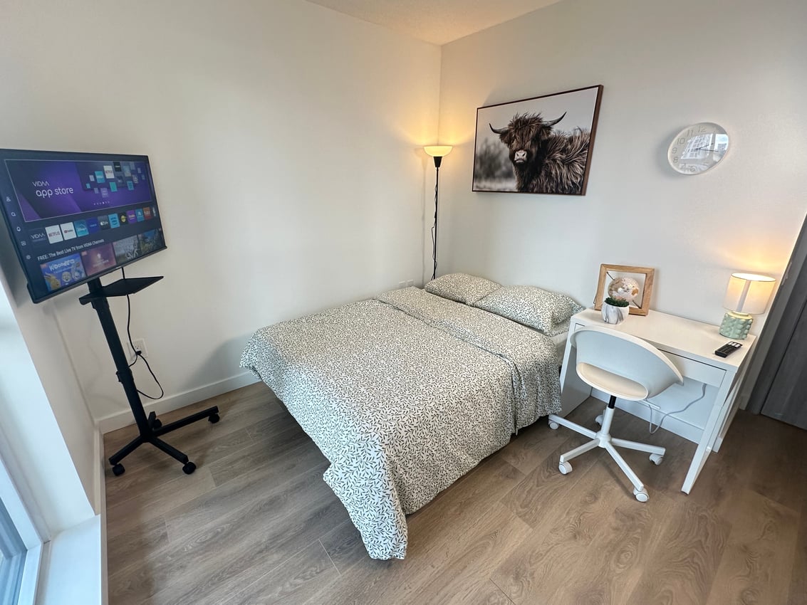 Deluxe Room - Widmer St & Adelaide St West