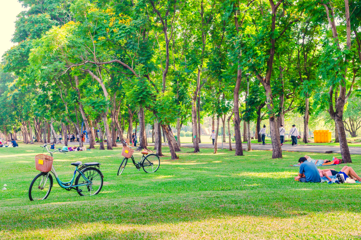 Bordeaux is not just about wine and architecture—it’s also one of the greenest cities in France. With over 2,000 hectares of green space, the city offers plenty of public parks and gardens perfect for relaxing, walking, or spending time with family.