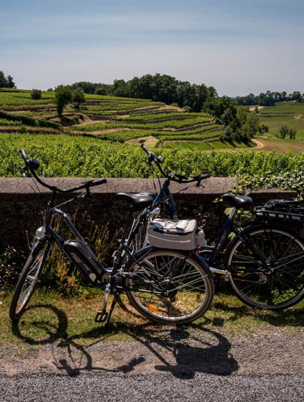 A wine-focused explanation of the Bordeaux wine route, showing how Left Bank and Right Bank wines connect through structure and history.