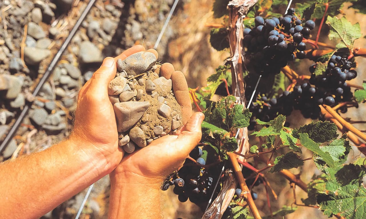 Explore how gravel, clay, and limestone soils shape Bordeaux wine styles, affecting texture, power, freshness, ageing potential, and château identity.