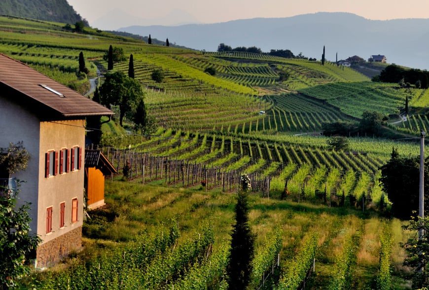 photo of Bordeaux Vineyards terrior