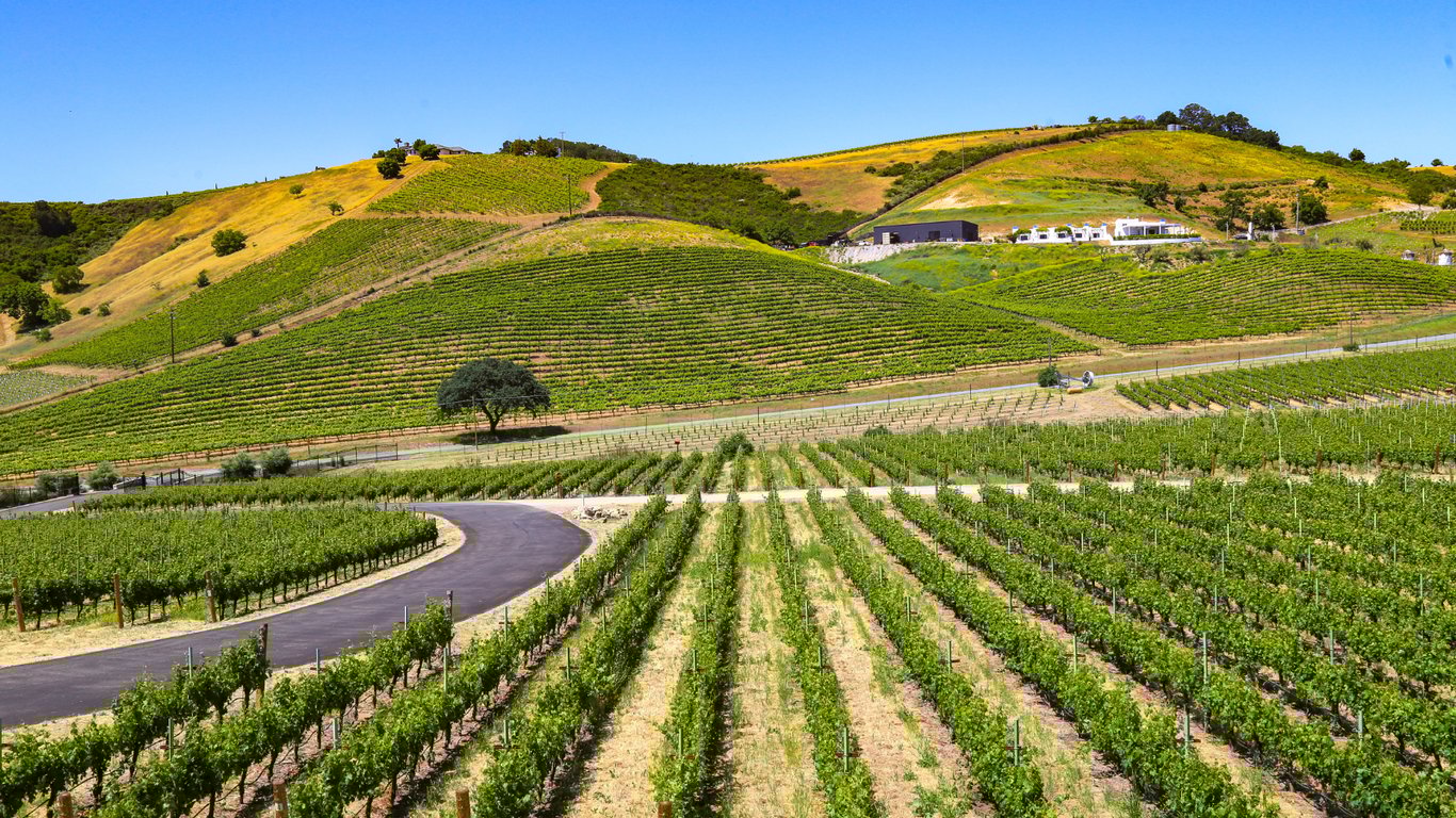 Explore Blaye and Bourg wines through terroir, river influence, and history, revealing Bordeaux’s overlooked Right Bank for wine lovers