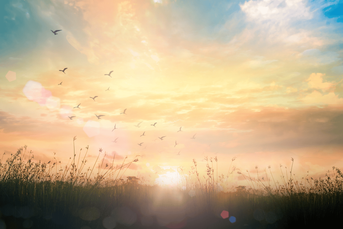 Discover Bordeaux’s most beautiful sunrise spots, from riverside views to hilltop parks