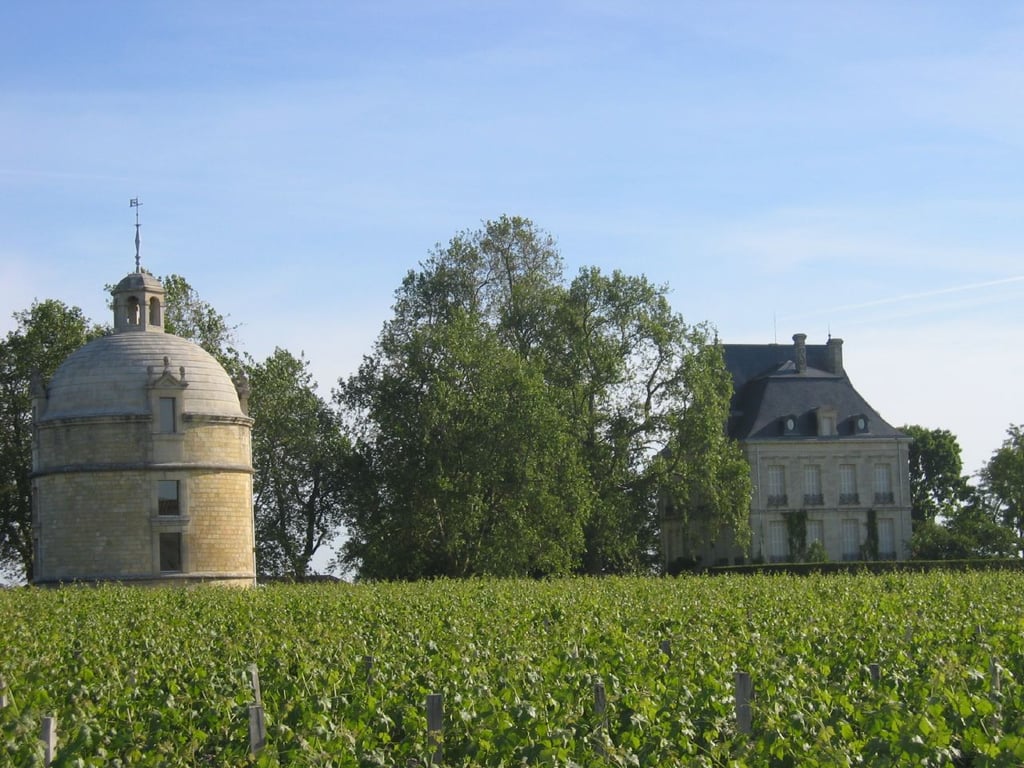 Discover the re-release of Château Latour 2012, its unique strategy, and why Pauillac wine lovers and travellers should explore it with Bordeaux Wine Pilgrim