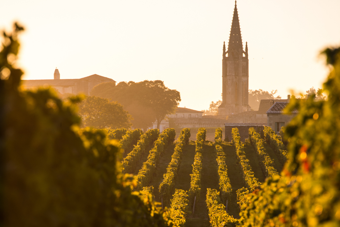 Discover how Bordeaux is embracing sustainability and hybrid vines. Explore vineyards adapting to climate change with Bordeaux Wine Pilgrim’s expert wine tours.