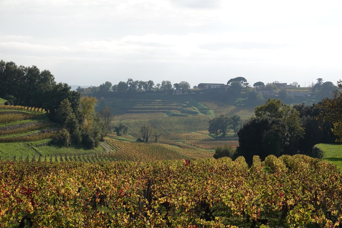 Discover how climate change is altering the taste, balance, alcohol, and style of Bordeaux wines, and how producers are adapting in the vineyard and cellar.