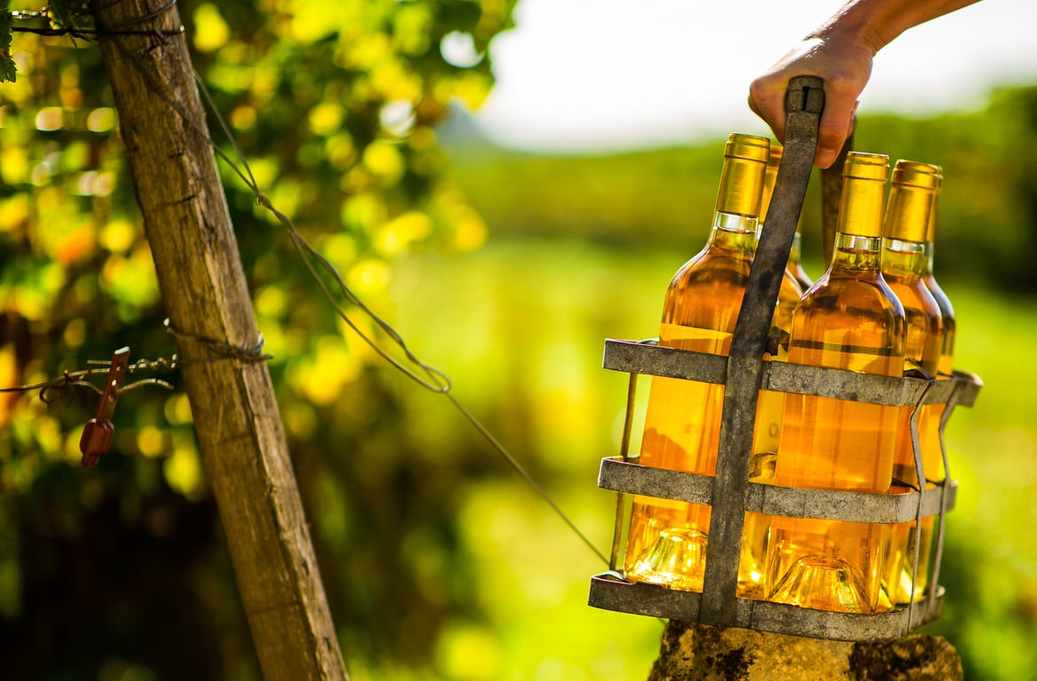 Explore Sauternes wines in Bordeaux, from noble rot and river climate to ageing potential and why these sweet wines are globally unmatched.