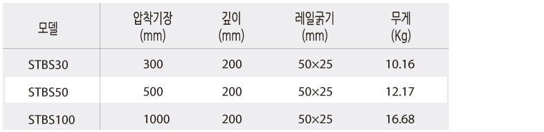 stbs100.jpg