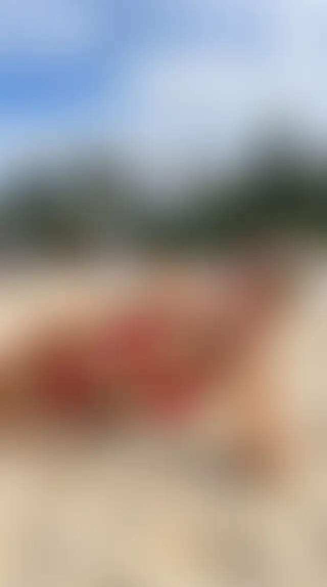 Post thumbnail
