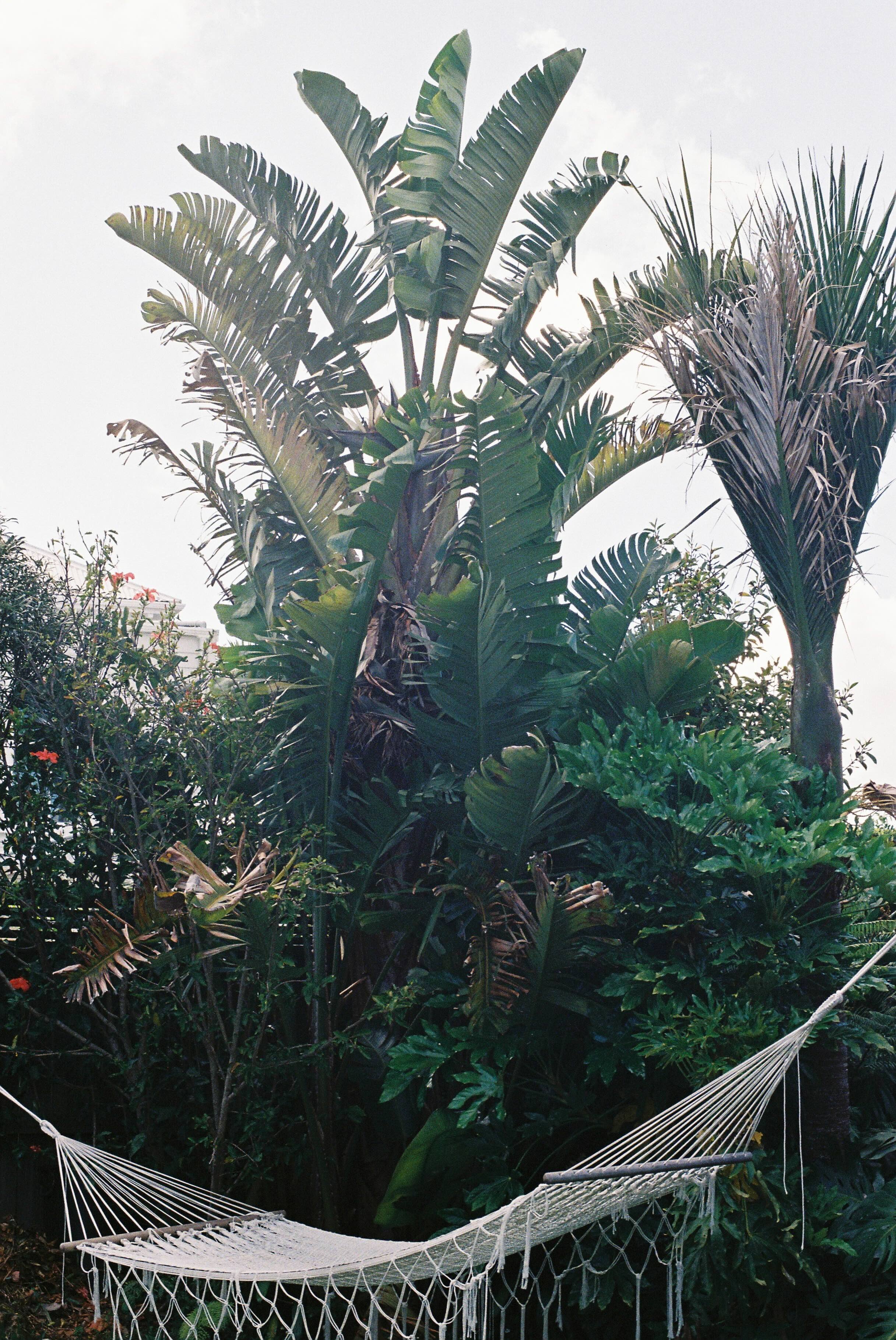 Beauty Muse: Kristine Crabb - Good Magazine