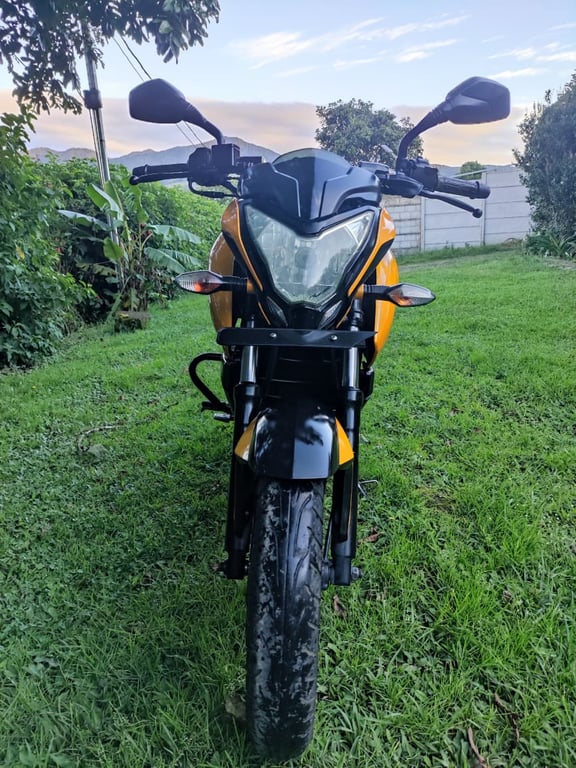 2015 Bajaj Pulsar NS 200 NS