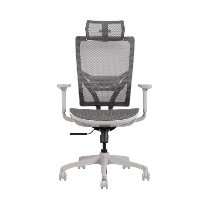 C367A Zenox Ergonomics Hokai 人體工學辦公網椅(灰色)