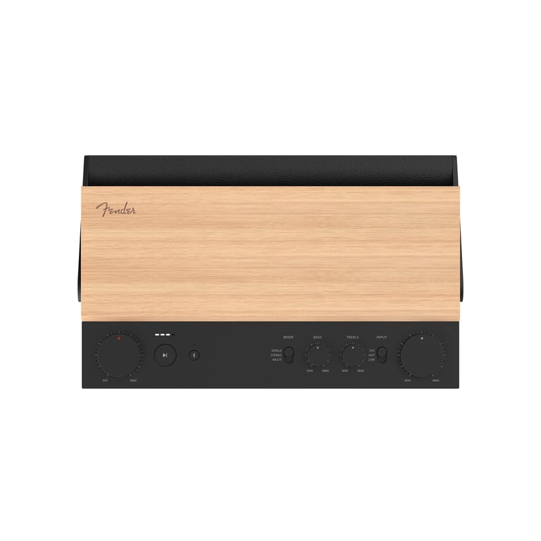 Fender Audio ELIE 12 多功能藍牙喇叭(都市黑)