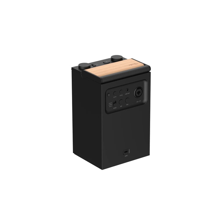 Fender Audio ELIE 6 多功能藍牙喇叭(都市黑)