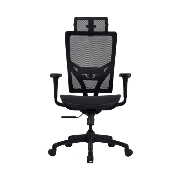 C367B Zenox Ergonomics Hokai 人體工學辦公網椅(黑色)