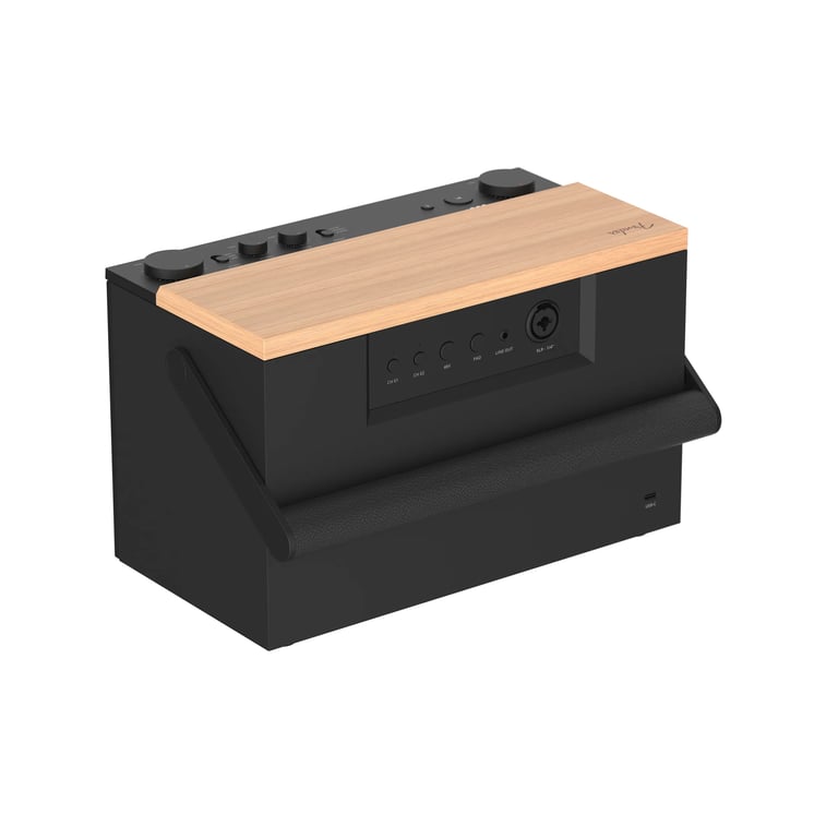 Fender Audio ELIE 12 多功能藍牙喇叭(都市黑)