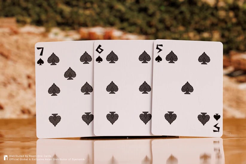 Room One Cards《Monster Hunter》Playing Cards 啤牌(Red)