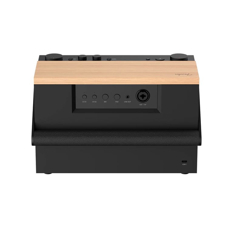 Fender Audio ELIE 12 多功能藍牙喇叭(都市黑)