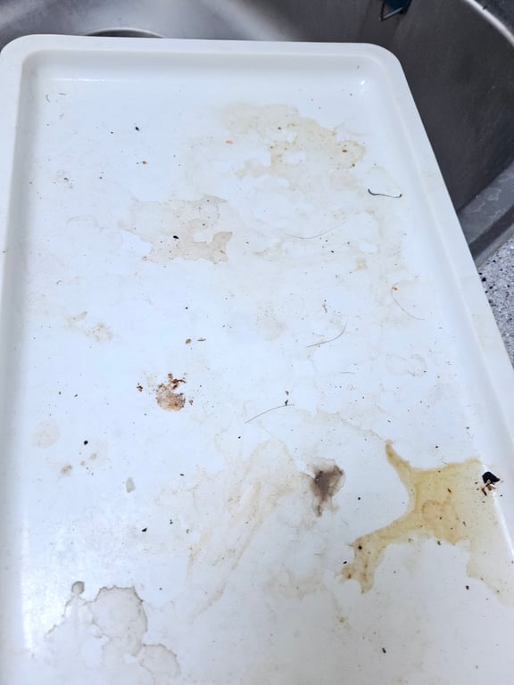 청소 전후 사진 전송 서비스의 신뢰감 사진 3