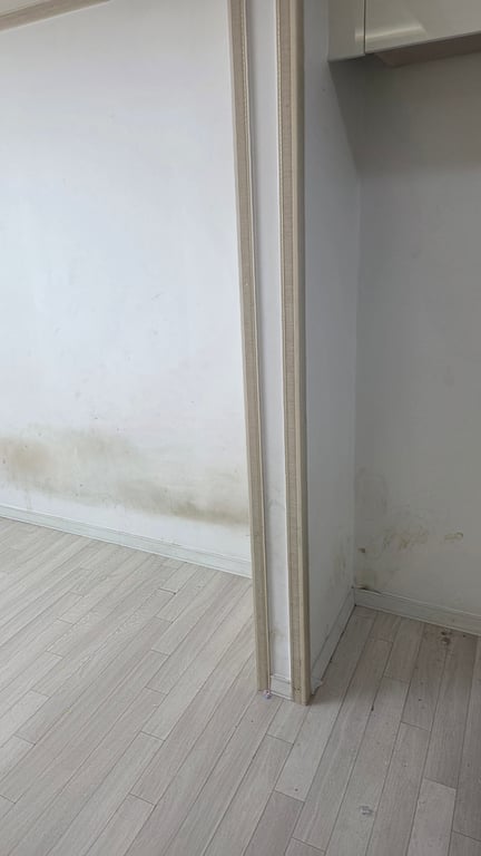 곰팡이 얼룩 지워지고 창문까지 환해졌어요 사진 1