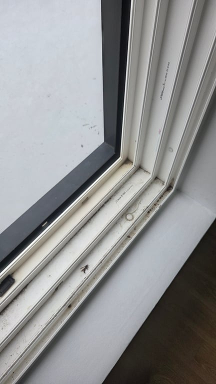 신발장 안쪽까지 이렇게 달라질 줄이야 사진 1