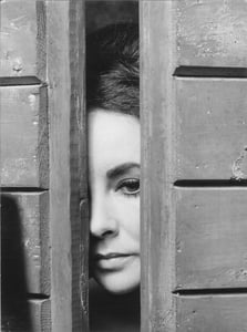 Elizabeth Taylor: Caterina, la bisbetica.
