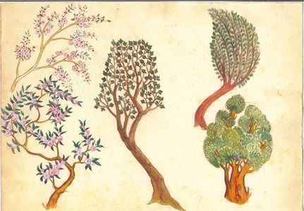 Studi di Zeffirelli per la scena.