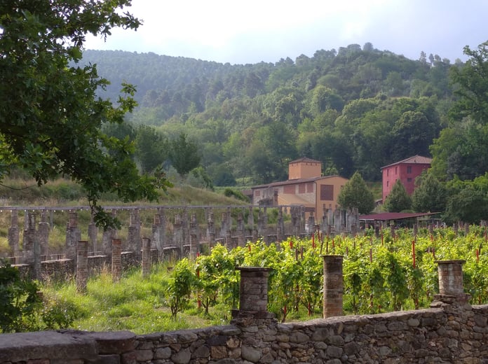 0_Tenuta Dello Scompiglio