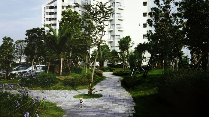 periferie_-_format_dispacci.1800x0