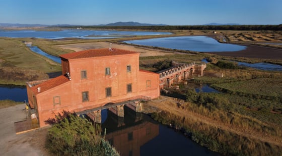 Una finestra sulla Maremma. Castiglione della Pescaia