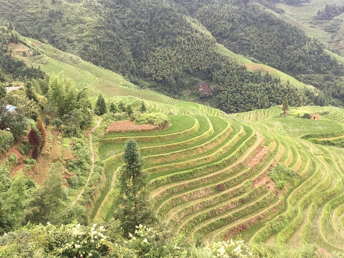 paesaggi rurali