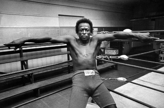 boxe miles davis-im marshall 650