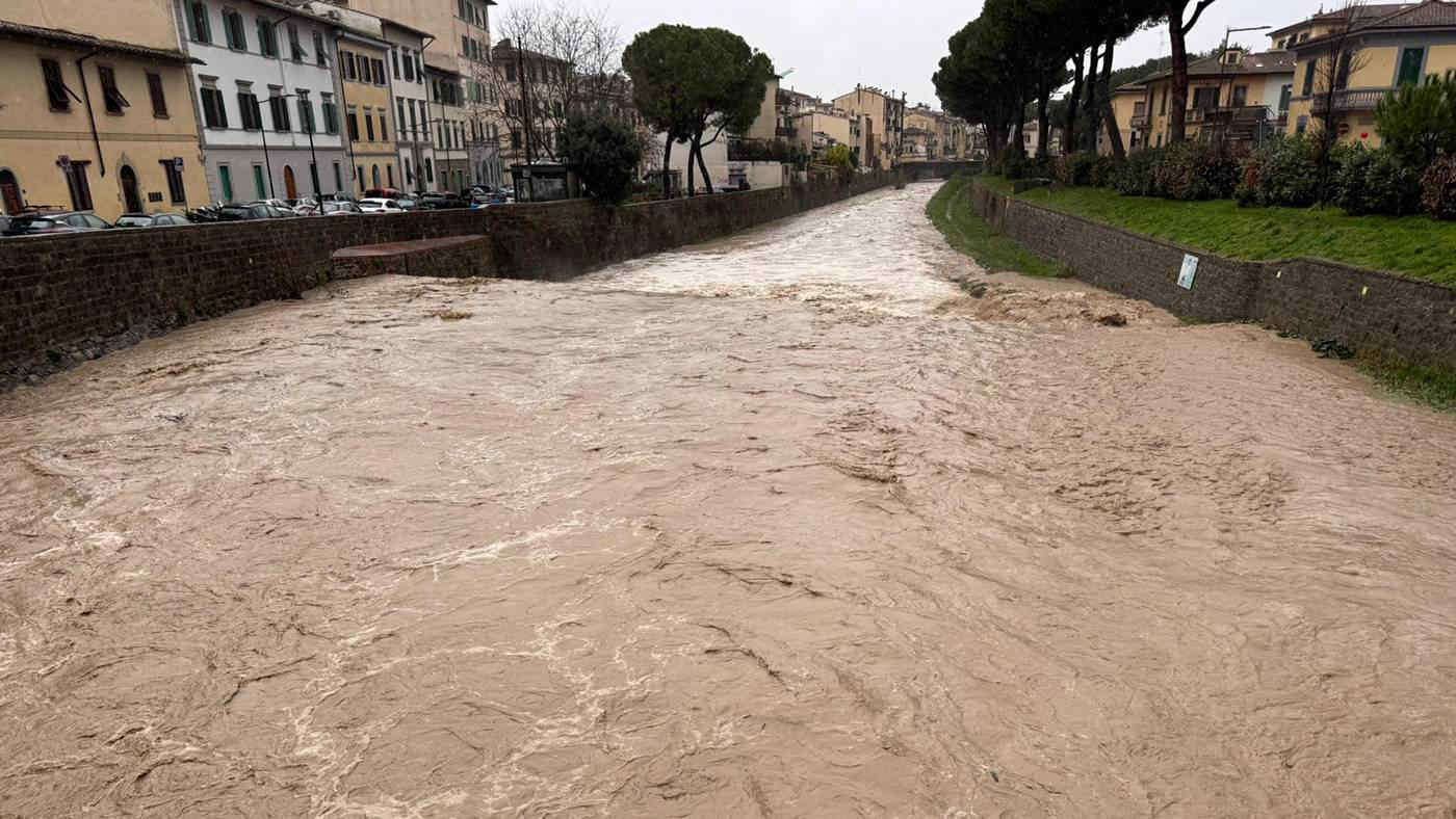 Nubifragi nella provincia di Firenze, alberi caduti e allagamenti