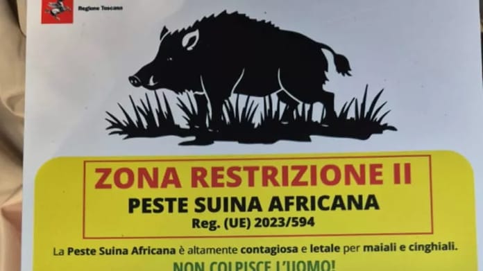 Immagine per Letizia Cesani per Podcast (1)