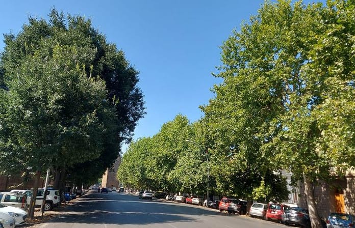 Immagine per Paola Galgani per Podcast