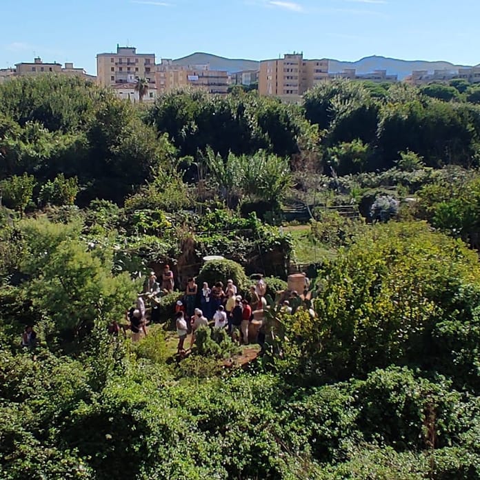 Orti urbani Livorno Salvetti