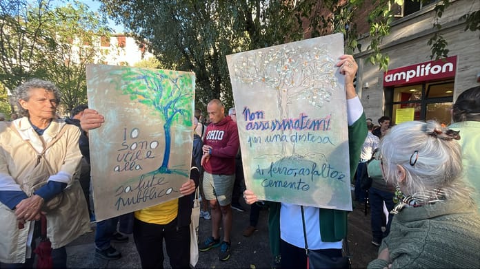 manifestazioone alberi cure