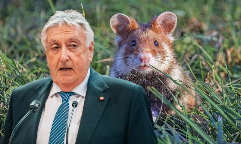 Paul Stadler und Feldhamster