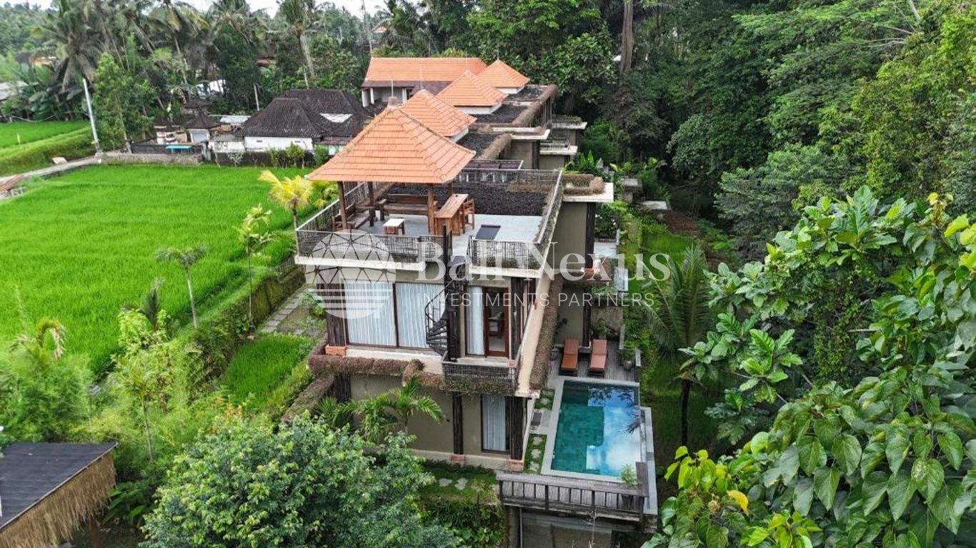 Villa 2BR in Payangan photo 8