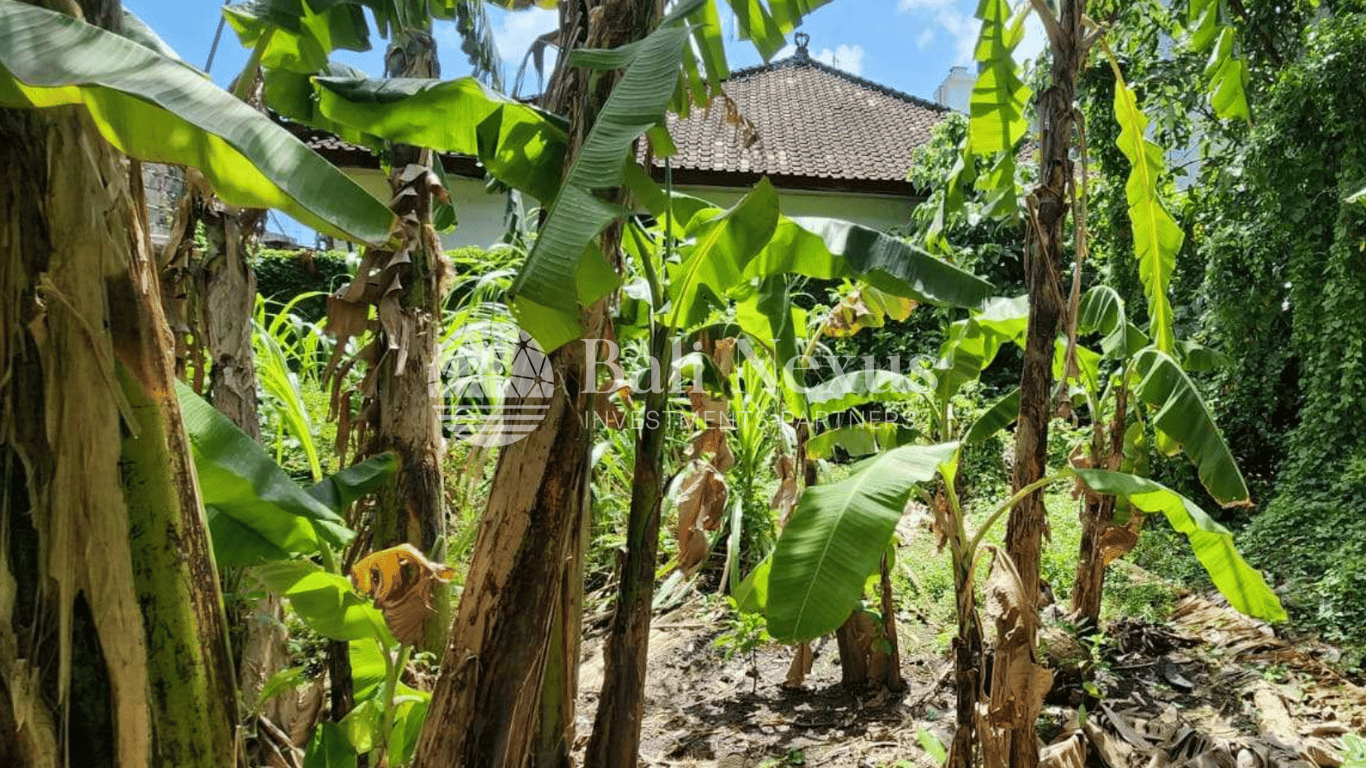 Land in Denpasar photo 2