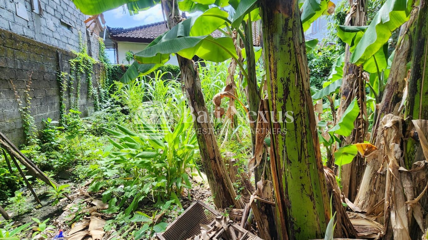 Land in Denpasar photo 1