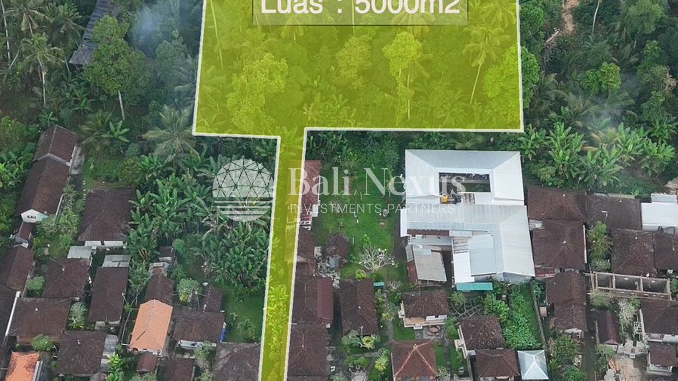 Land in Tegallalang photo 4