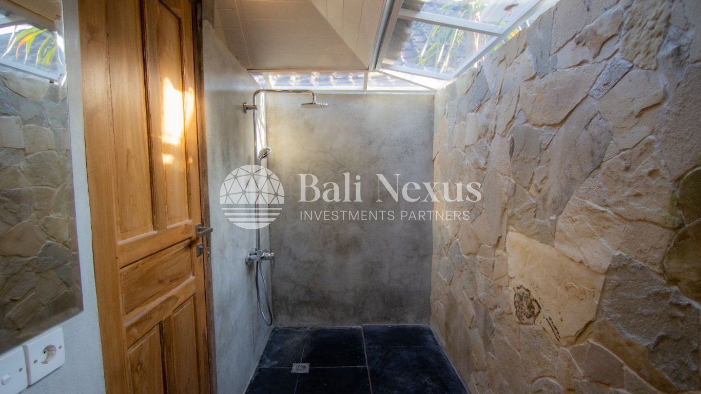 Villa 1BR in Seseh photo 8