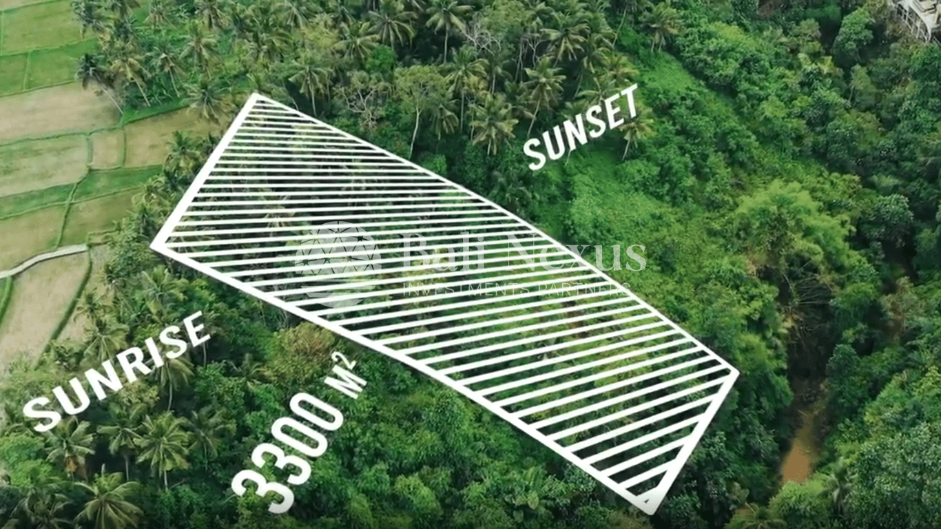 Land in Pejeng Kawan photo 2