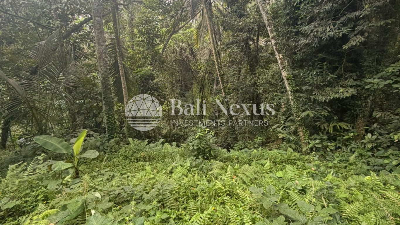 Land in Tegallalang photo 3